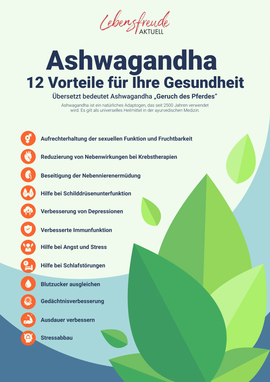 Ashwagandha Infografik