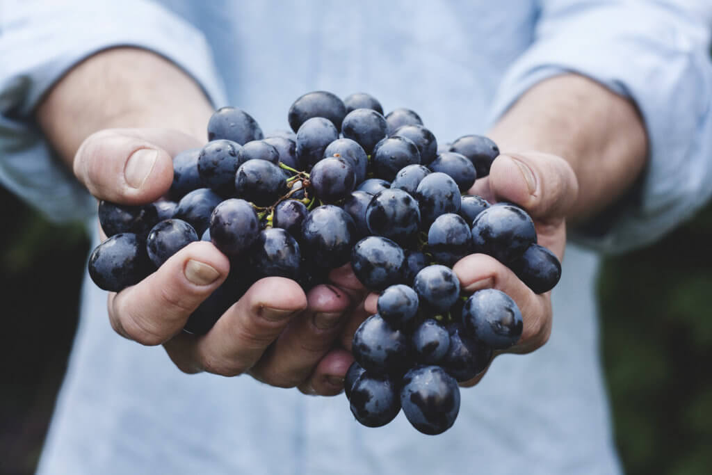 Superfood Deutschland