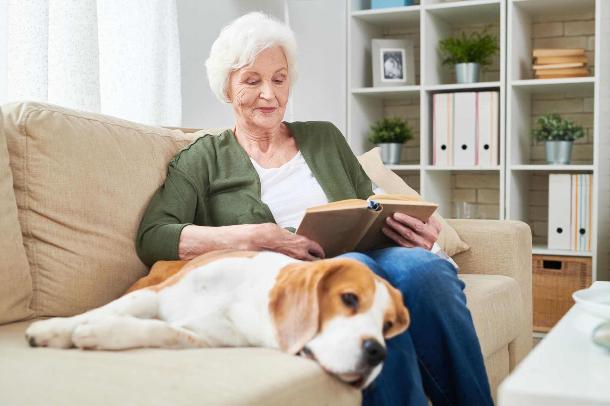 Arthrose beim Hund wie Hyaluronsäure helfen kann Lebensfreude aktuell
